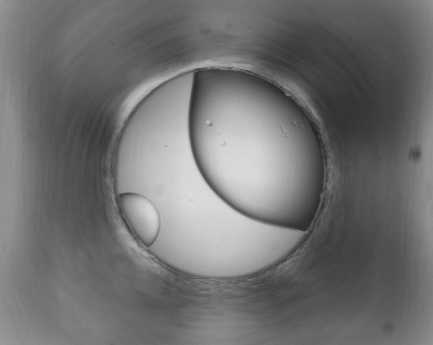 X0000111220952200907020957