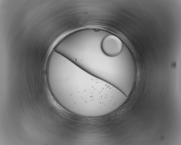 X0000111220955200907020957