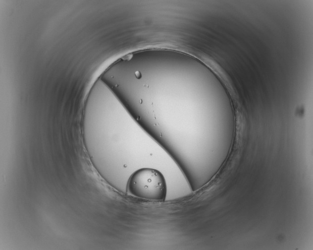 X0000111220956200907020957