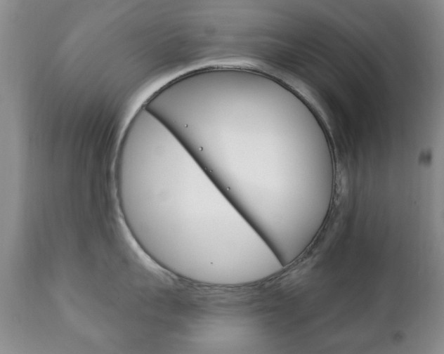 X0000111220959200907020957