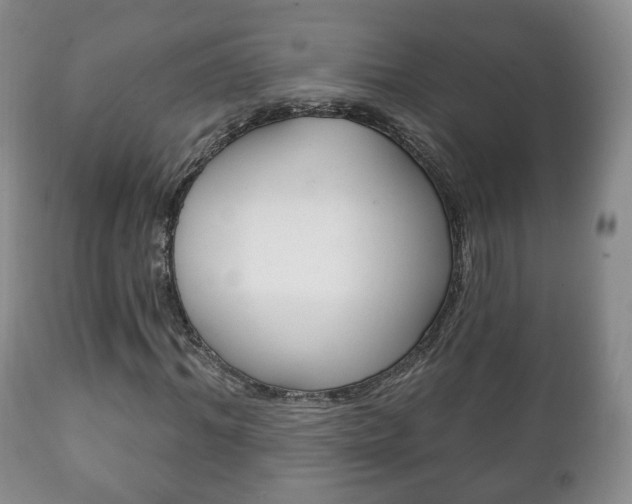 X0000111220964200907020956