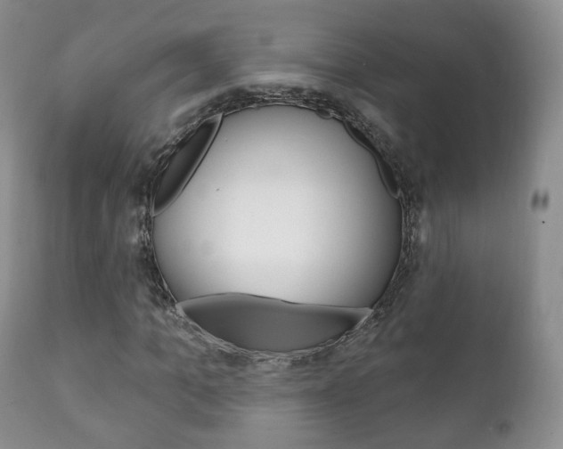 X0000111220965200907020956