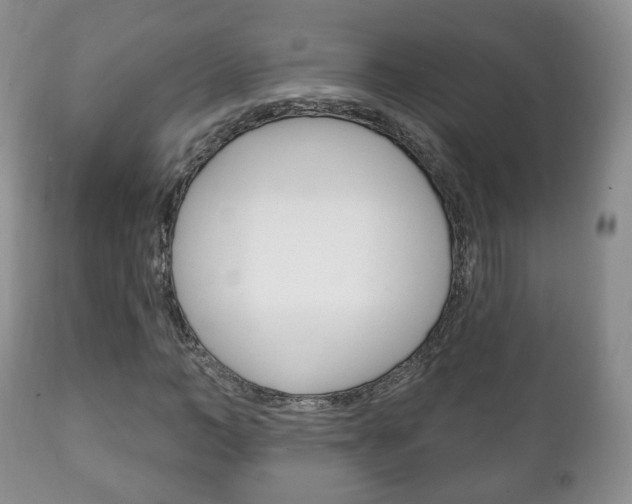 X0000111220966200907020956