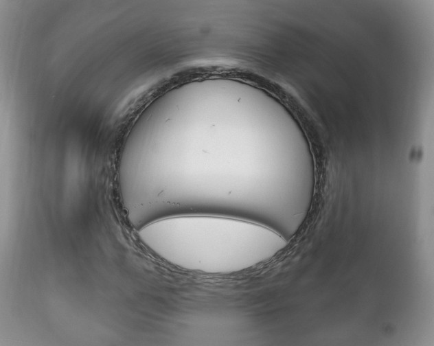 X0000111220967200907020956