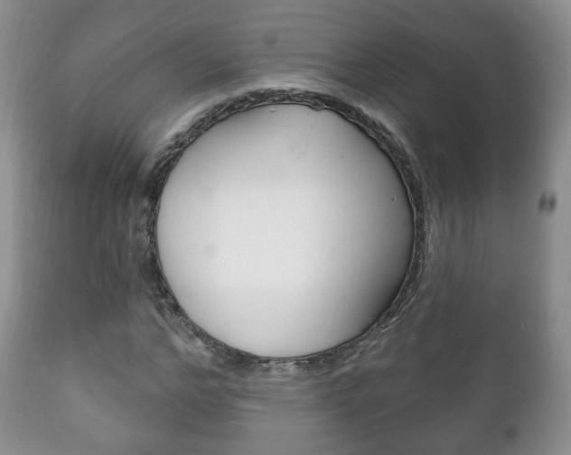 X0000111220968200907020956