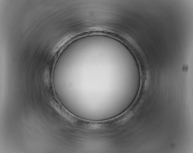 X0000111220969200907020956