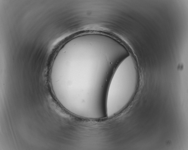 X0000111220971200907020956