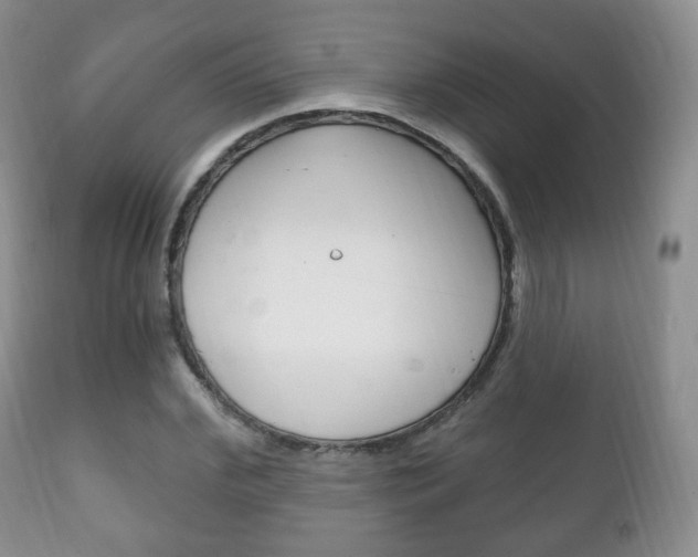 X0000111220972200907020956