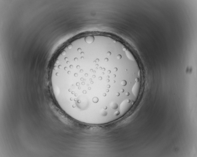 X0000111220974200907020956