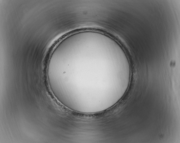 X0000111220975200907020956