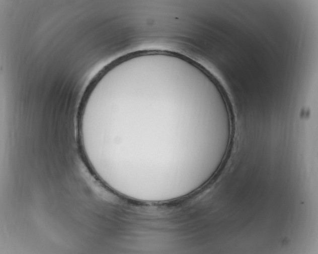 X0000111220980200907020956
