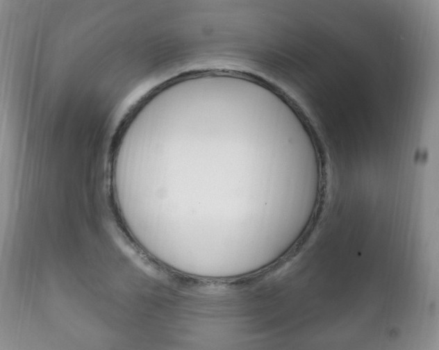 X0000111220982200907020956