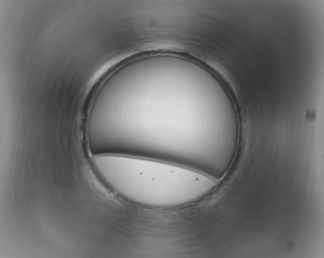 X0000111220983200907020956
