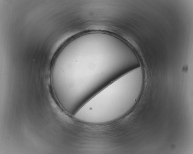 X0000111220984200907020956