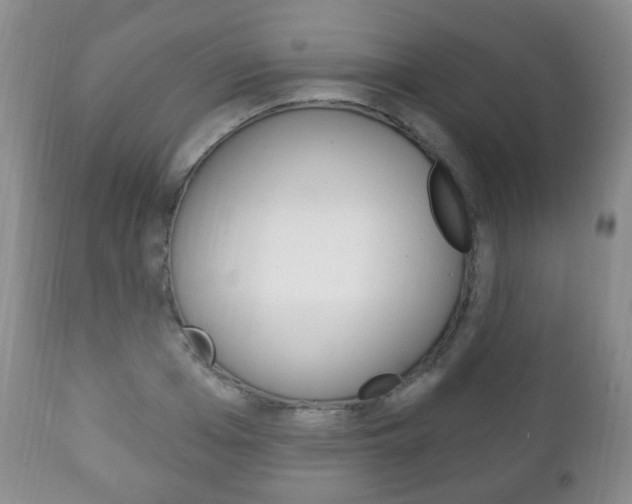 X0000111220985200907020956