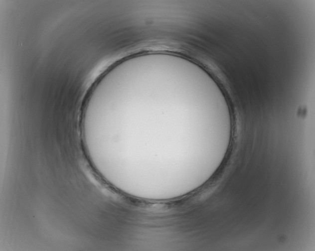 X0000111220986200907020956
