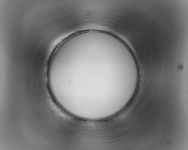 X0000111220987200907020956