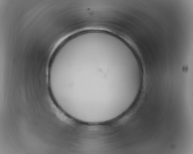 X0000111220988200907020956