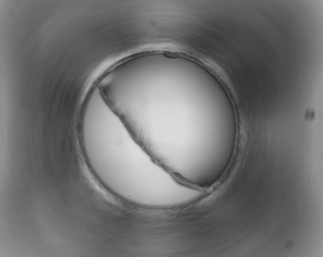 X0000111220989200907020956