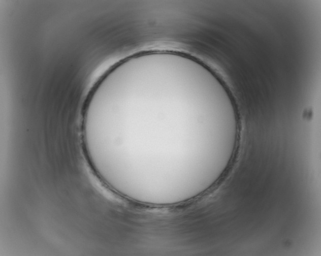 X0000111220990200907020956