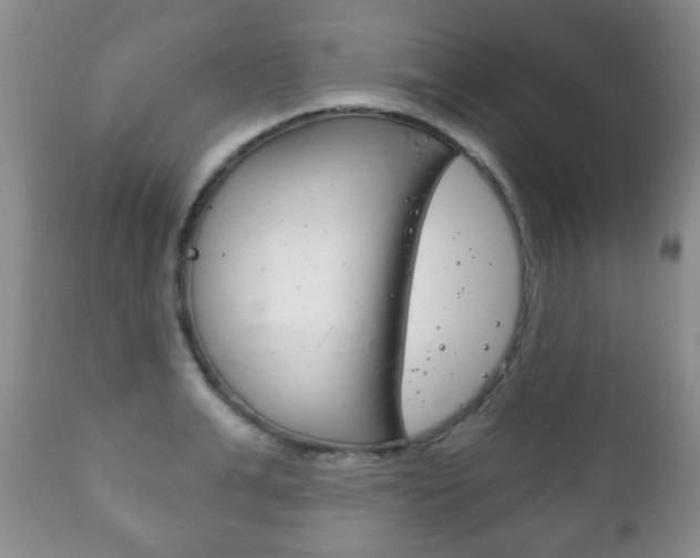 X0000111220991200907020956