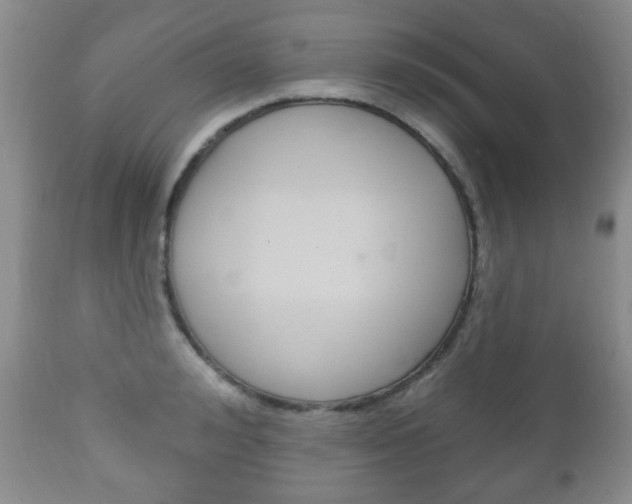 X0000111220992200907020956
