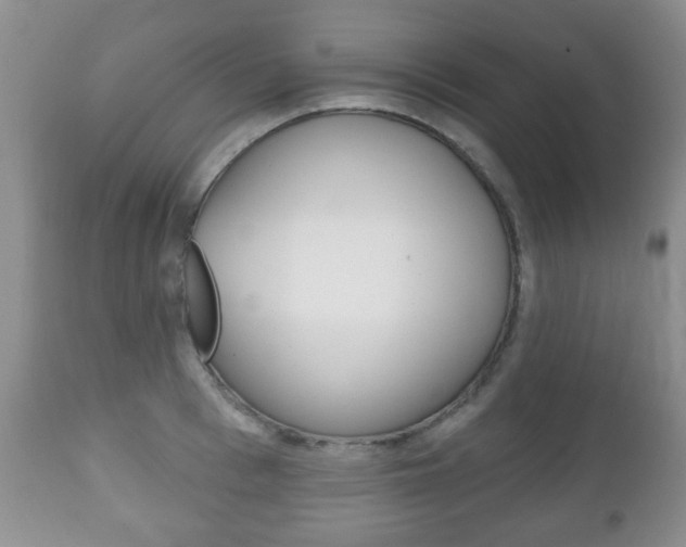 X0000111220993200907020955