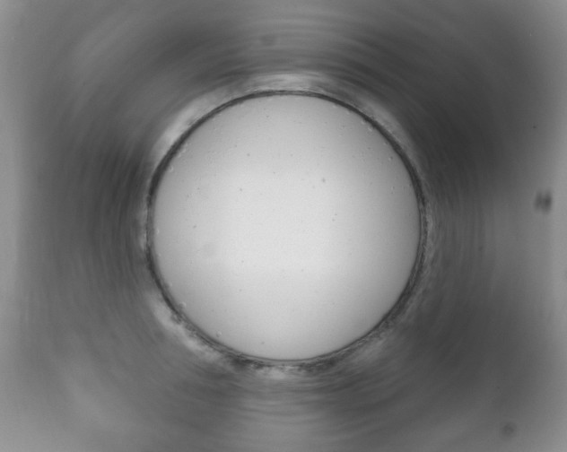 X0000111220994200907020955