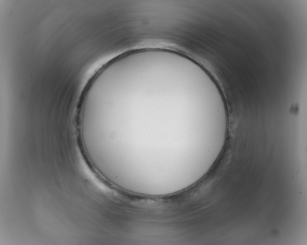 X0000111220995200907020955