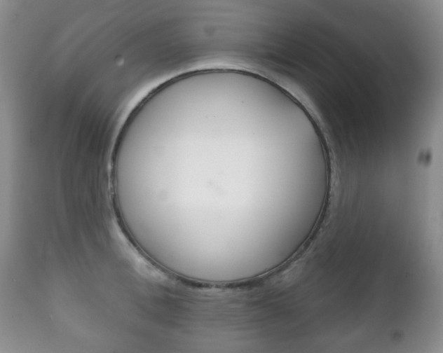 X0000111220996200907020955