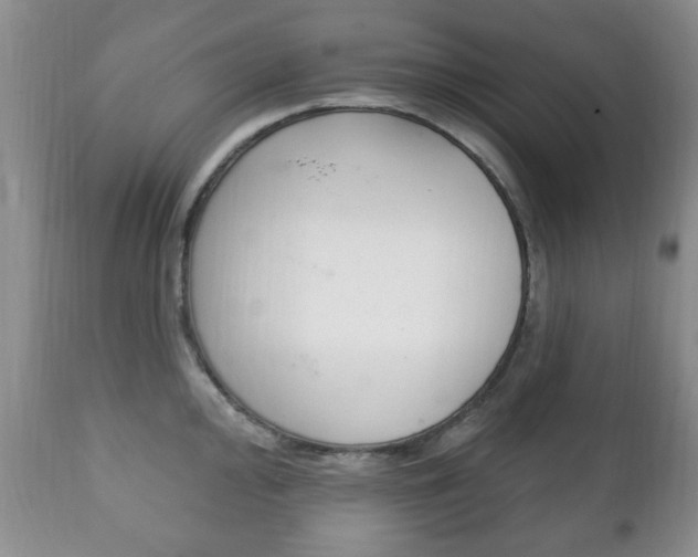 X0000111221000200907020955