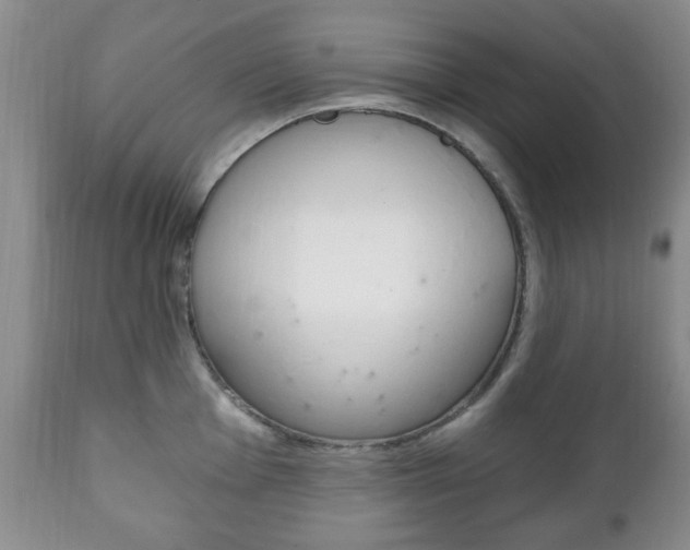 X0000111221001200907020955