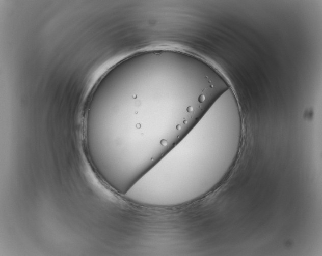 X0000111221003200907020955