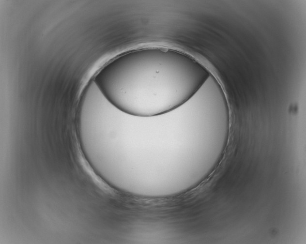 X0000111221005200907020955
