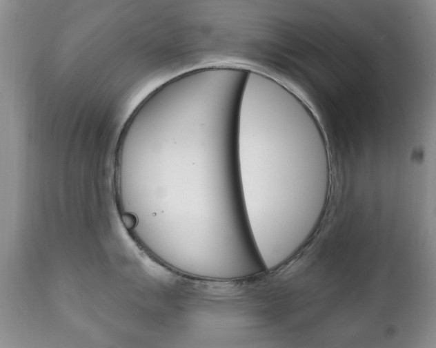 X0000111221007200907020955