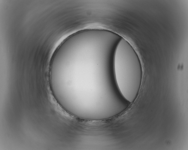 X0000111221008200907020955