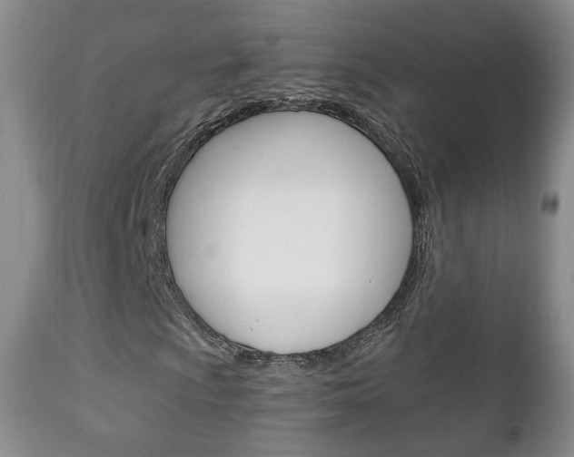 X0000111221009200907020955