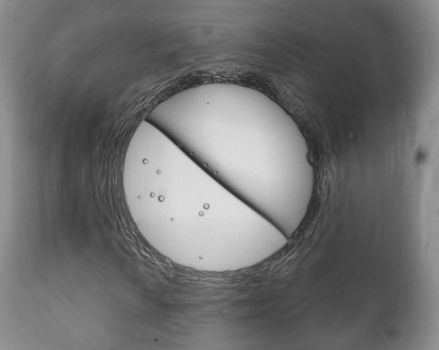 X0000111221010200907020955