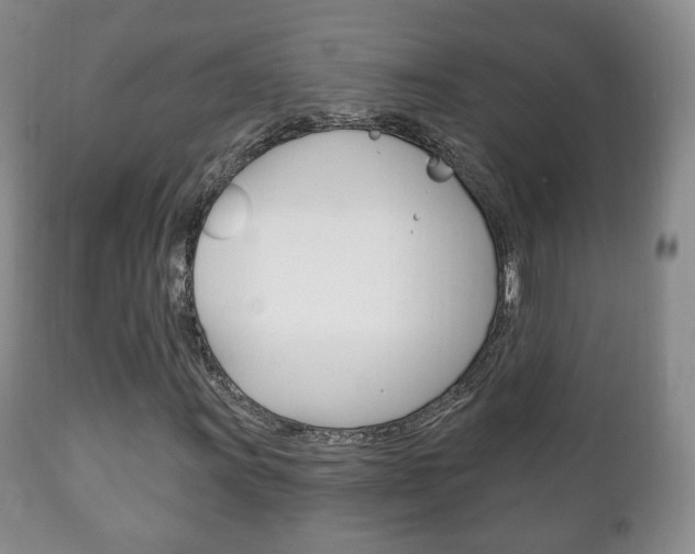 X0000111221011200907020955