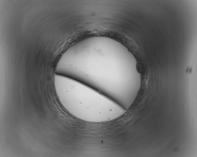 X0000111221012200907020955