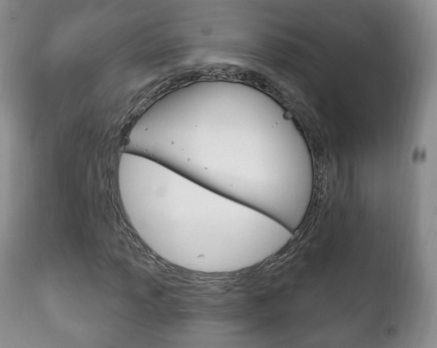 X0000111221013200907020955