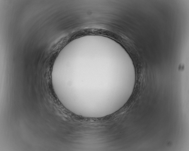 X0000111221014200907020955