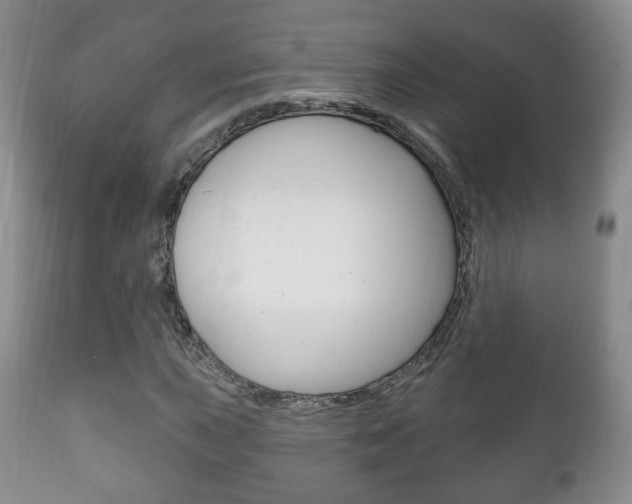 X0000111221015200907020955