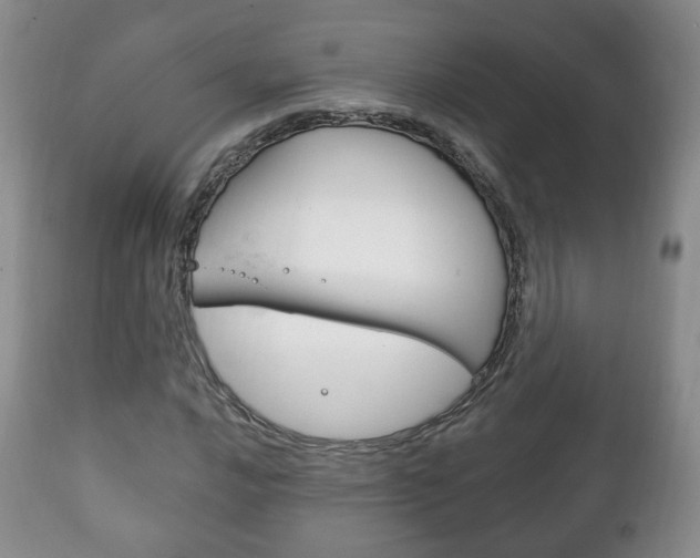 X0000111221016200907020955