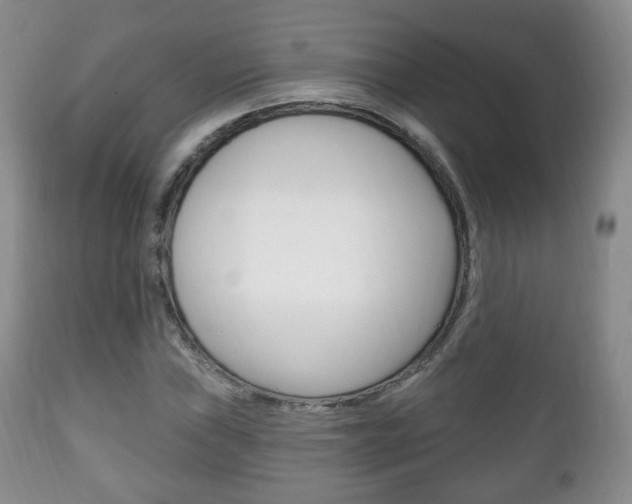 X0000111221019200907020955