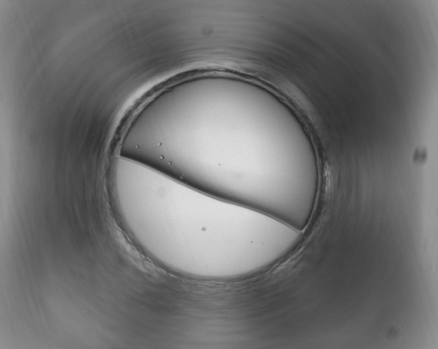X0000111221020200907020955