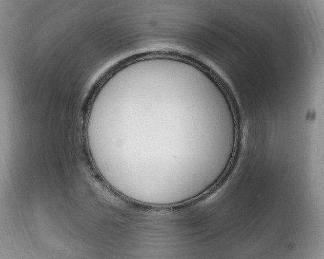 X0000111221021200907020955