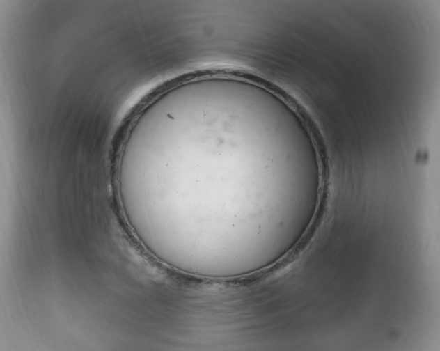 X0000111221022200907020955
