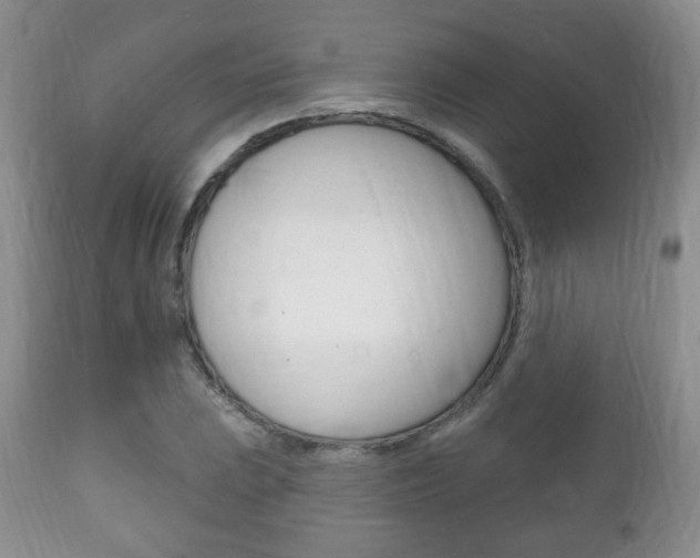 X0000111221023200907020955
