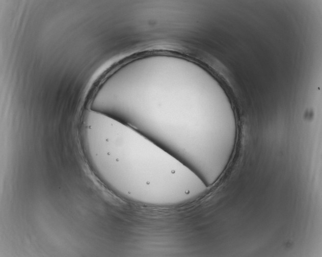 X0000111221024200907020955